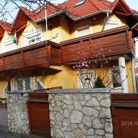 Zsuzsanna Haz Guest house *