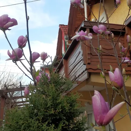 Guest house Zsuzsanna Haz Heviz