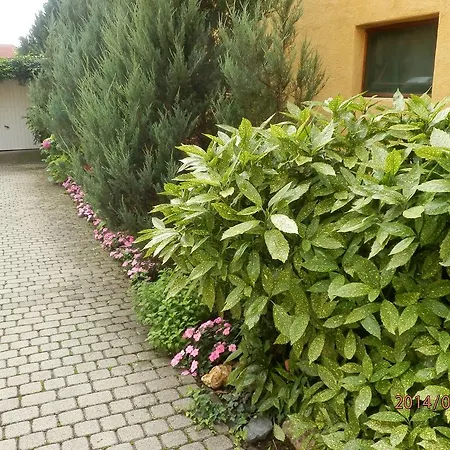 بيت ضيافة Zsuzsanna Haz 3*