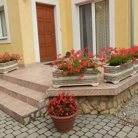 Zsuzsanna Haz Guest house